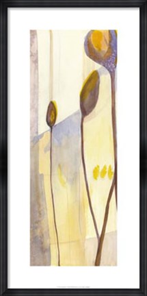 Framed Seed Pods I Print