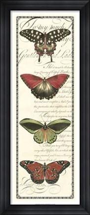 Framed Butterfly Prose Panel I Print