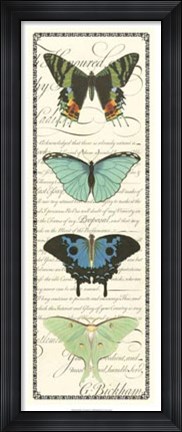 Framed Butterfly Prose Panel II Print