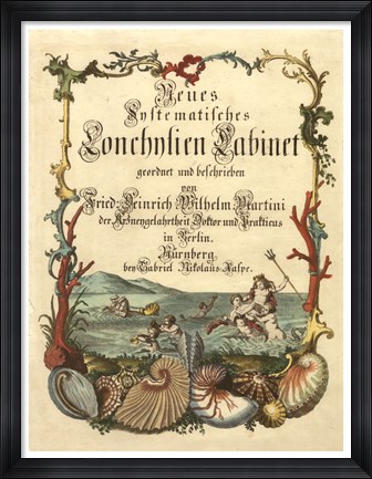 Framed Cabinet of Conchology Print