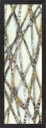 Framed Lemongrass III Print