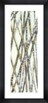 Framed Lemongrass IV Print