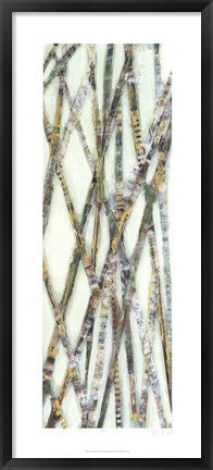 Framed Lemongrass IV Print