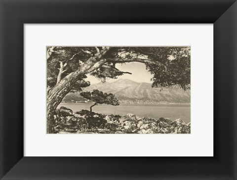 Framed Summer in France IV Print