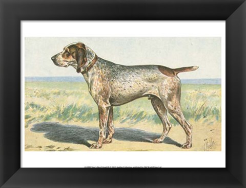 Framed Man&#39;s Best Friend III Print