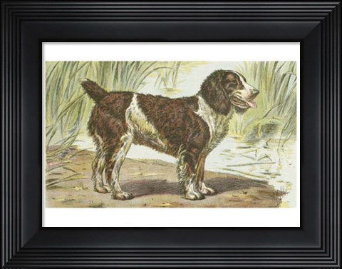 Framed Man&#39;s Best Friend IV Print
