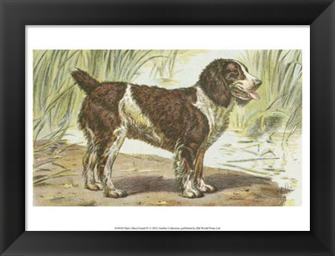 Framed Man&#39;s Best Friend IV Print