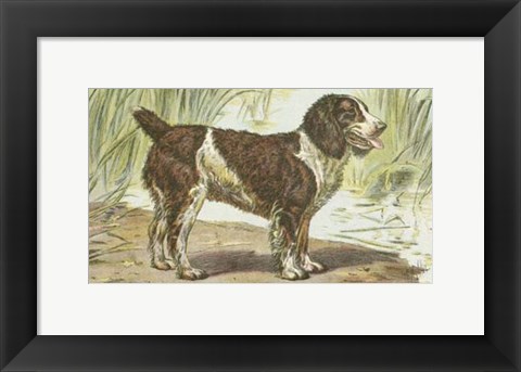 Framed Man&#39;s Best Friend IV Print
