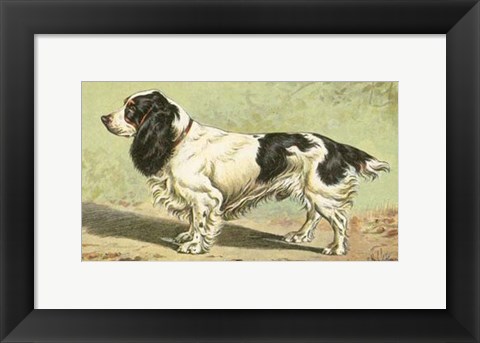 Framed Man&#39;s Best Friend V Print