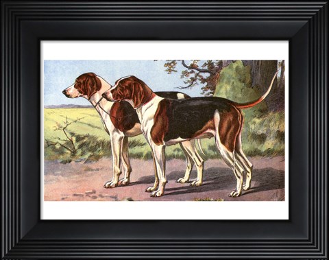 Framed Man&#39;s Best Friend VII Print