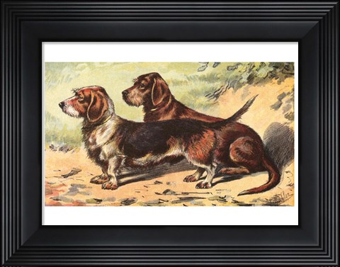 Framed Man&#39;s Best Friend IX Print