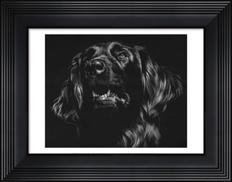 Framed Canine Scratchboard XV Print