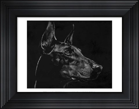 Framed Canine Scratchboard XVI Print