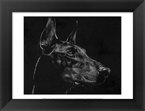 Framed Canine Scratchboard XVI Print