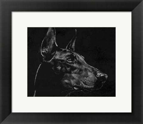 Framed Canine Scratchboard XVI Print