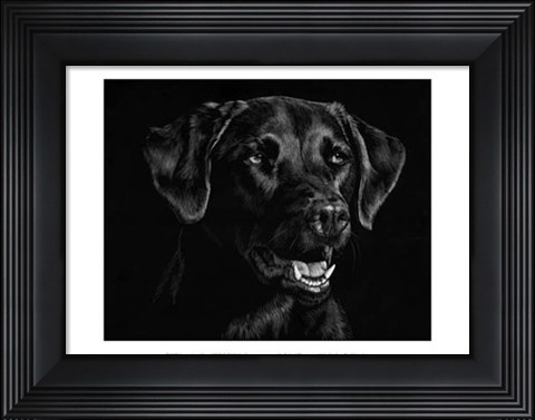 Framed Canine Scratchboard XVII Print