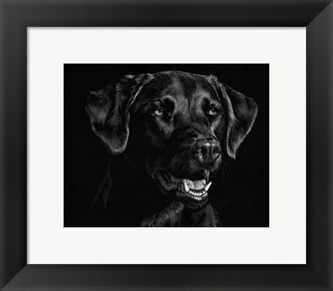 Framed Canine Scratchboard XVII Print