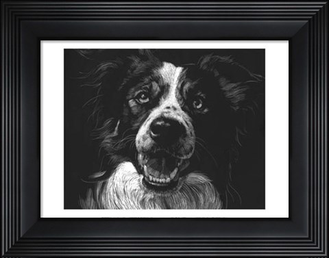 Framed Canine Scratchboard XVIII Print