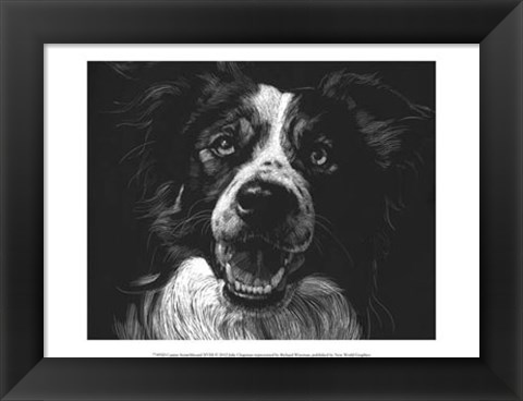 Framed Canine Scratchboard XVIII Print