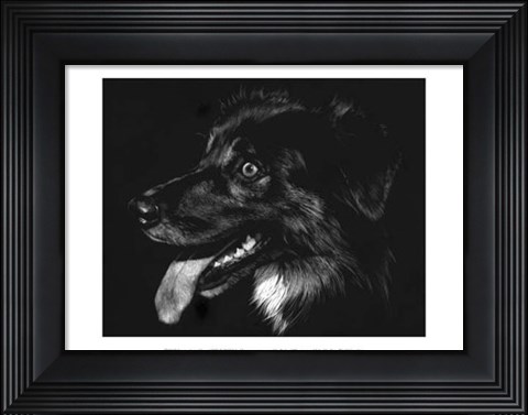 Framed Canine Scratchboard XIV - black Print