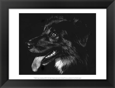 Framed Canine Scratchboard XIV - black Print