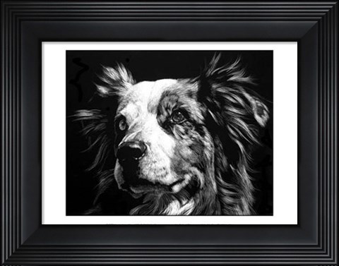 Framed Canine Scratchboard XX Print