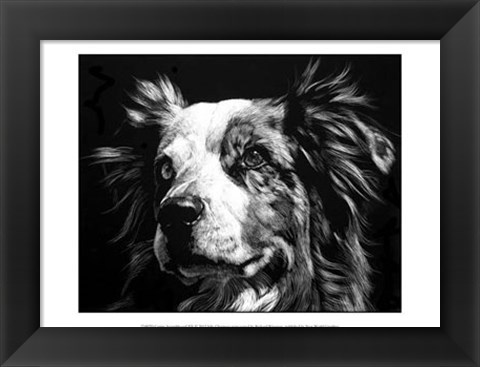 Framed Canine Scratchboard XX Print