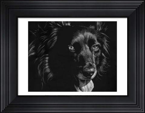 Framed Canine Scratchboard XXI Print
