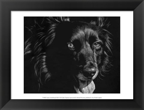 Framed Canine Scratchboard XXI Print