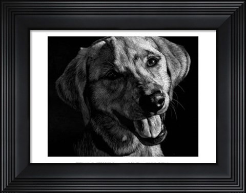 Framed Canine Scratchboard XXIII Print
