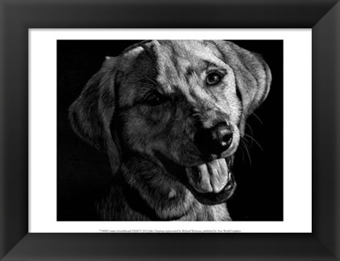 Framed Canine Scratchboard XXIII Print