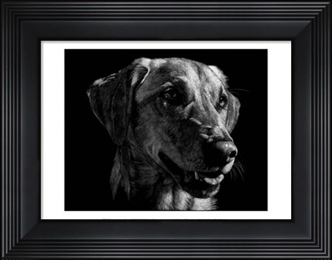 Framed Canine Scratchboard XXIV Print