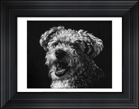 Framed Canine Scratchboard XXV Print