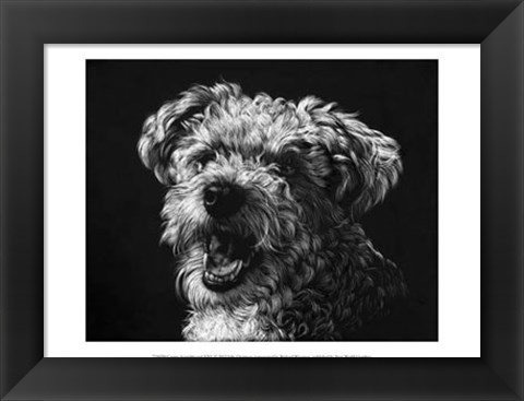 Framed Canine Scratchboard XXV Print