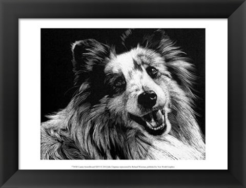 Framed Canine Scratchboard XXVI Print