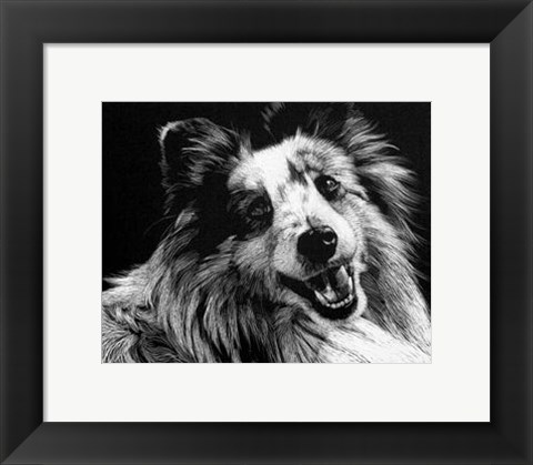 Framed Canine Scratchboard XXVI Print