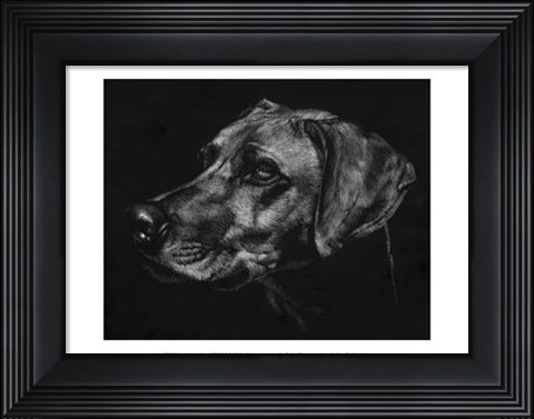 Framed Canine Scratchboard XXVIII Print