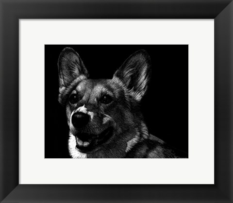 Framed Canine Scratchboard XXIX Print