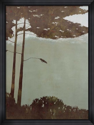 Framed Canopy Print