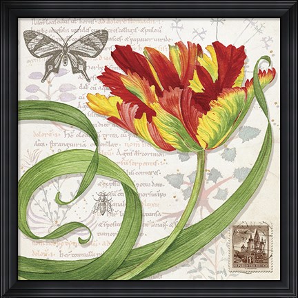 Framed Tulip I Print