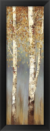 Framed Butterscotch Birch Trees II Print