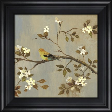 Framed Apple Bloom II ( conversation) Print