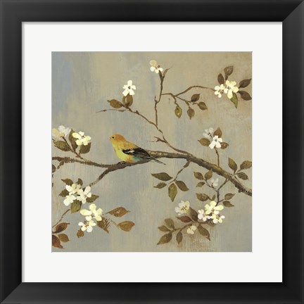 Framed Apple Bloom II ( conversation) Print