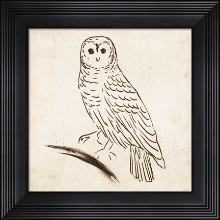Framed Owl I Print