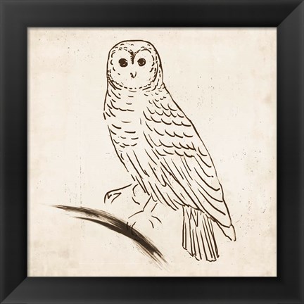 Framed Owl I Print