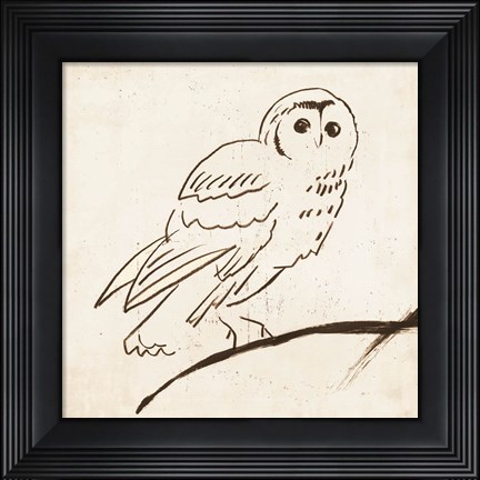Framed Owl II Print