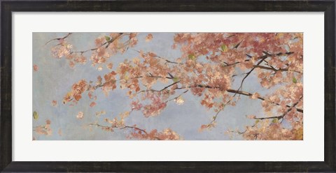 Framed Osaka Blossoms I Print