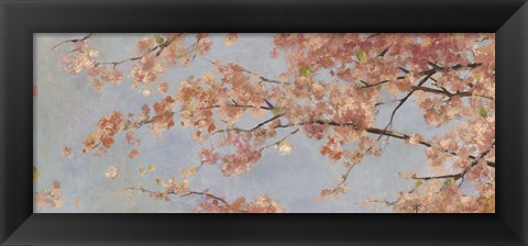 Framed Osaka Blossoms I Print