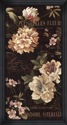 Framed Fleurs Antique II Print