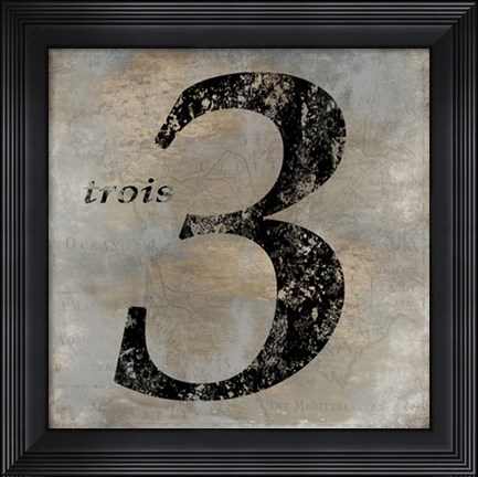 Framed Trois Print